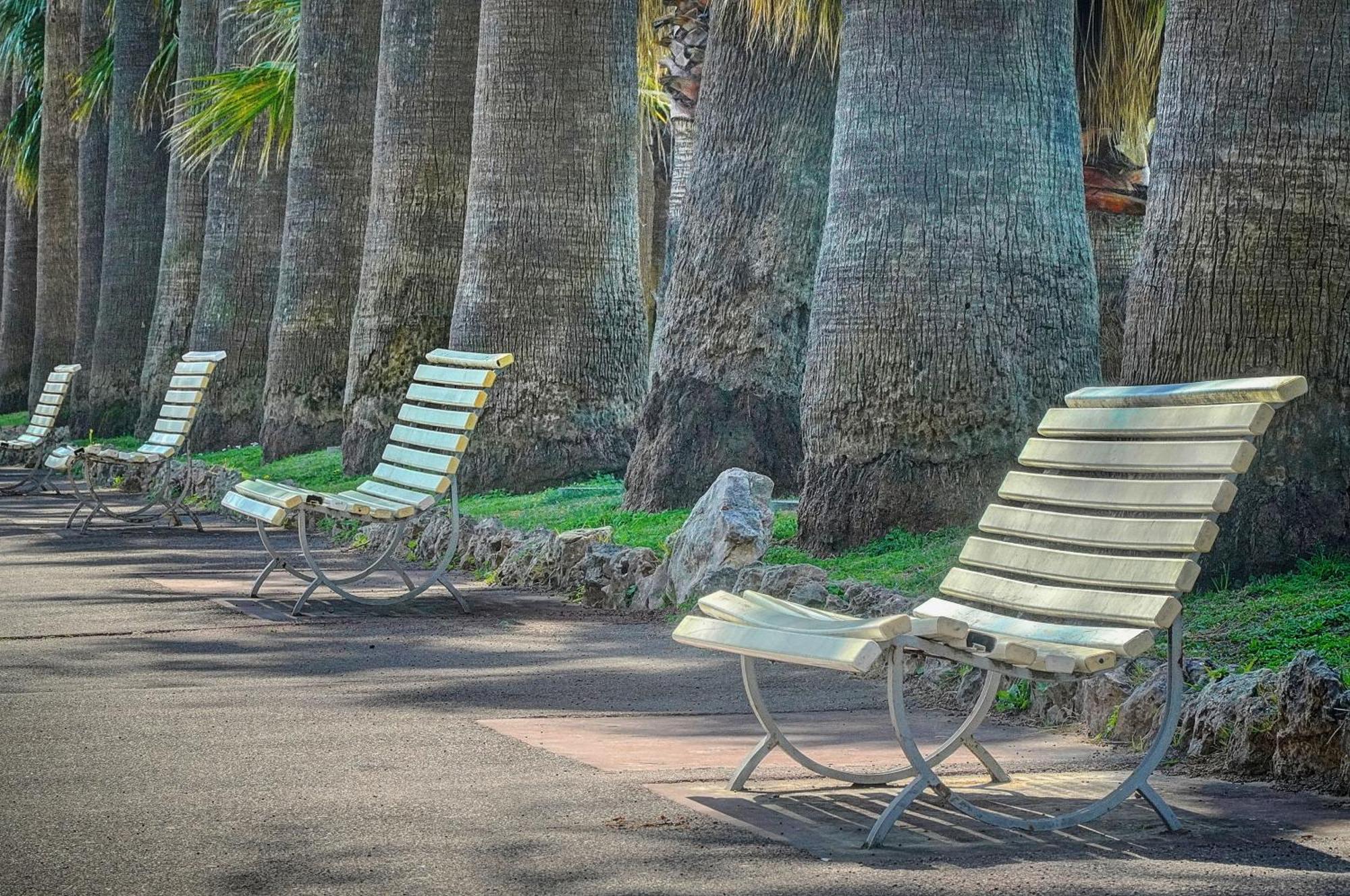 קאן Le Palm - 100M Plage - Croisette - Verriere Cote D'Azur מראה חיצוני תמונה