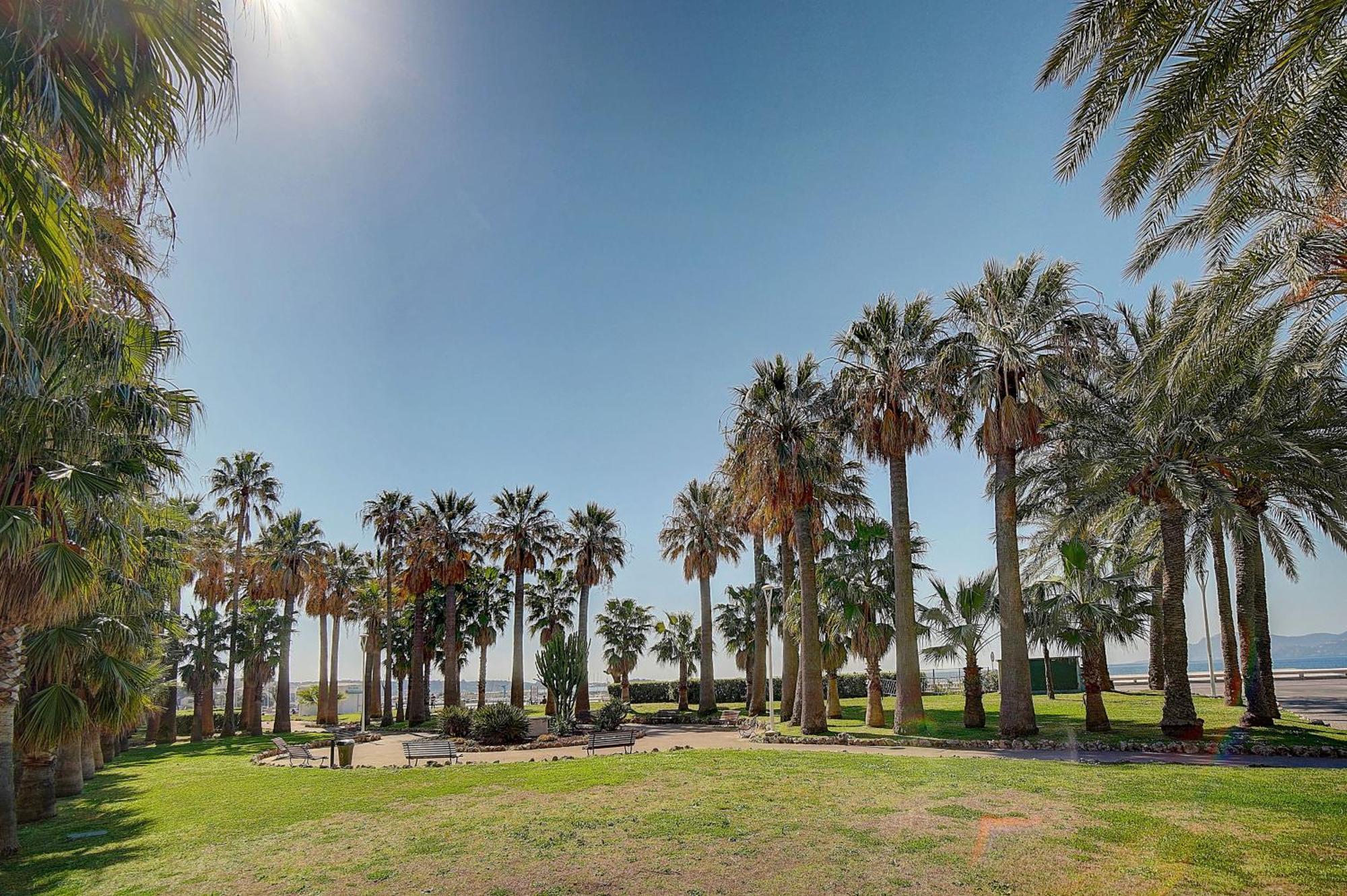 קאן Le Palm - 100M Plage - Croisette - Verriere Cote D'Azur מראה חיצוני תמונה